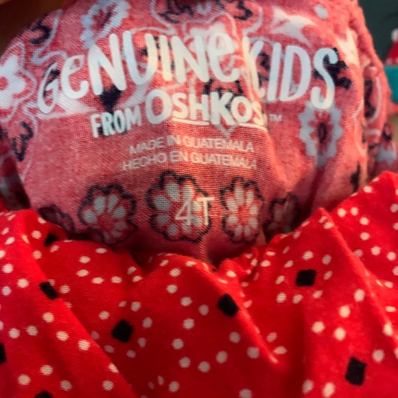 Two Kids Dresses Size 4t - Picture 2 of 3